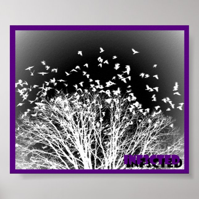Póster Poster Crows (Frente)