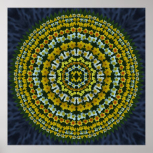 Póster Poster Daffodil Mandala
