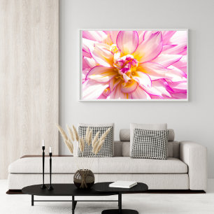 Póster Poster Dahlia Blanco Y Rosa