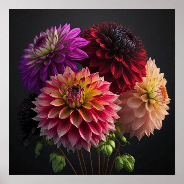 Póster Poster Dahlia Flowers (Frente)