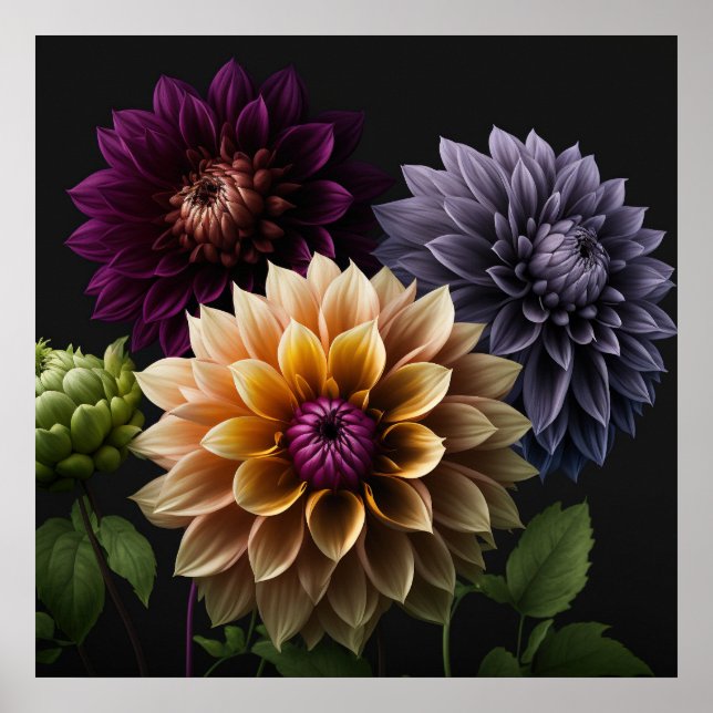 Póster Poster Dahlia Flowers (Frente)