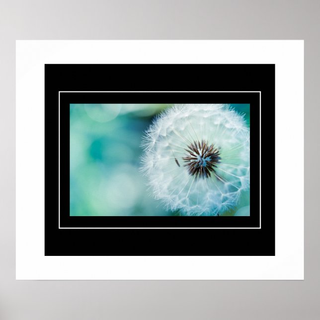 Póster Poster-Dandelion (Frente)
