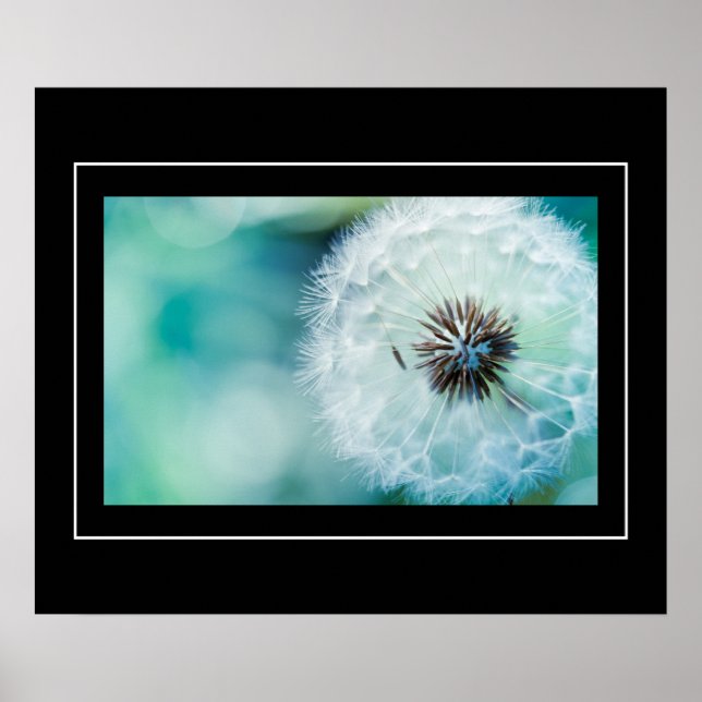 Póster Poster-Dandelion (Frente)