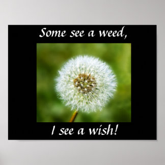 Póster Poster Dandelion - ¡Algunos ven una maleza, yo veo