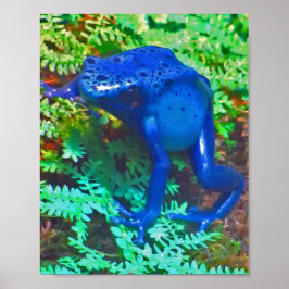 Póster Poster Dart Frog de veneno azul