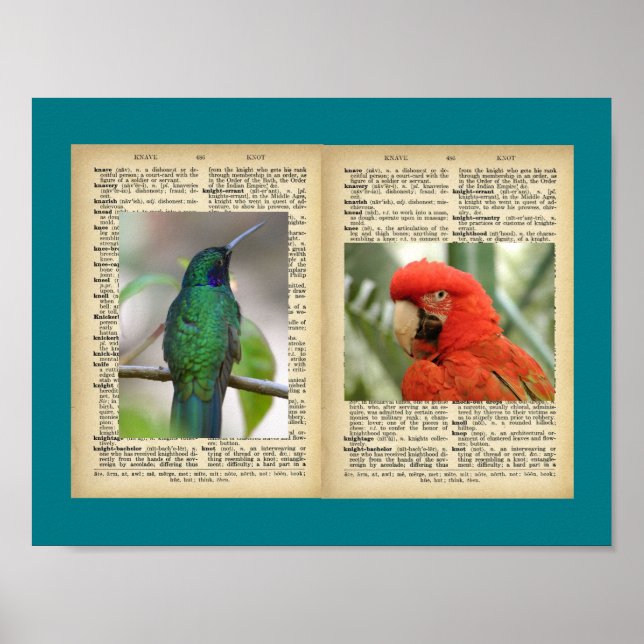 Póster poster de 11" x 8,5" (Diseños para cosecha de aves (Frente)