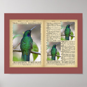 Póster poster de 11" x 8,5" (Diseños para cosecha de aves
