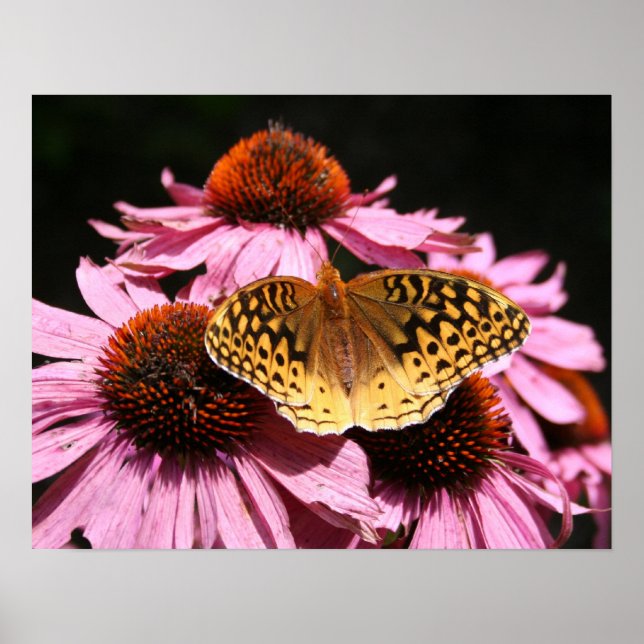 Póster Poster de 19 x 15" (Frente)