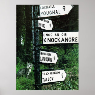 Póster poster de 9 millas