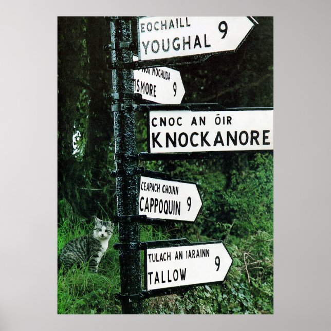 Póster poster de 9 millas (Frente)