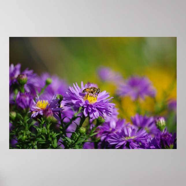 Póster Poster de abejas de trabajo (Frente)