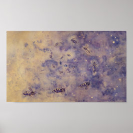 Póster Poster de abejas espaciales