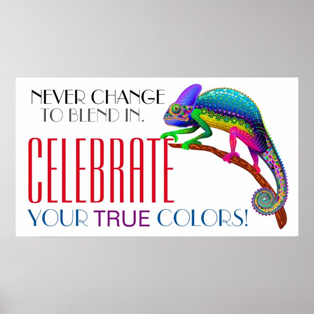 Póster Poster de aceptación de fomento de la diversidad (Frente)