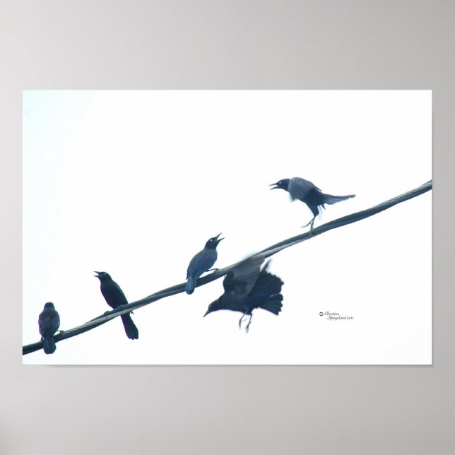 Póster Poster de acrobacias de aves de corral (Frente)