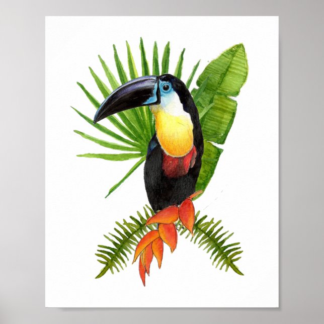 Póster Poster de acuarela de aves tropicales turcas (Frente)