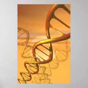 Póster POSTER de ADN