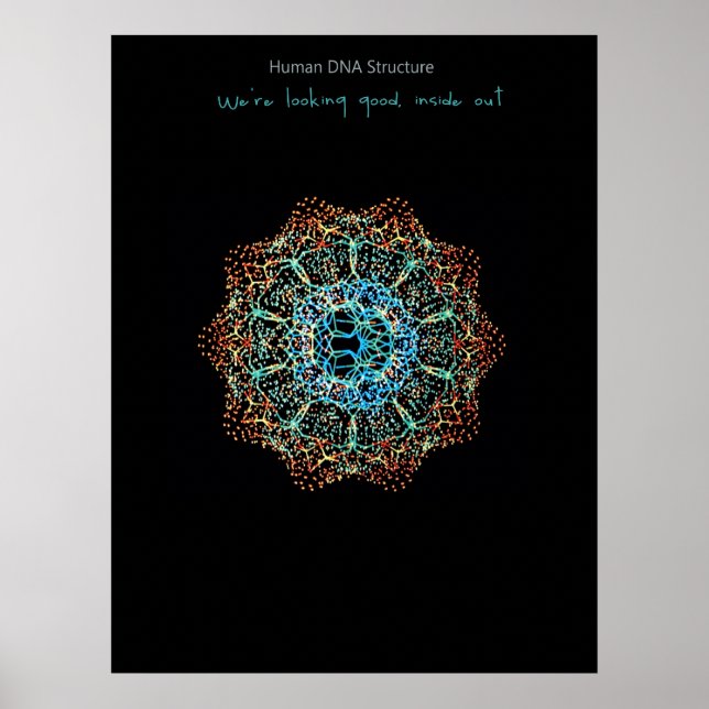 Póster Poster de ADN humano (Frente)