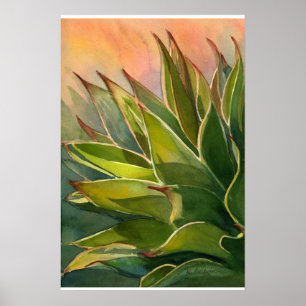 Póster Poster de Agave attenuata