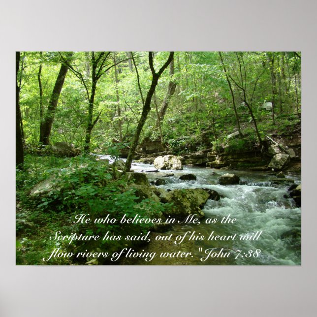 Póster Poster de agua viva (Frente)