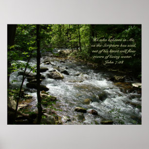 Póster Poster de Agua Viva II