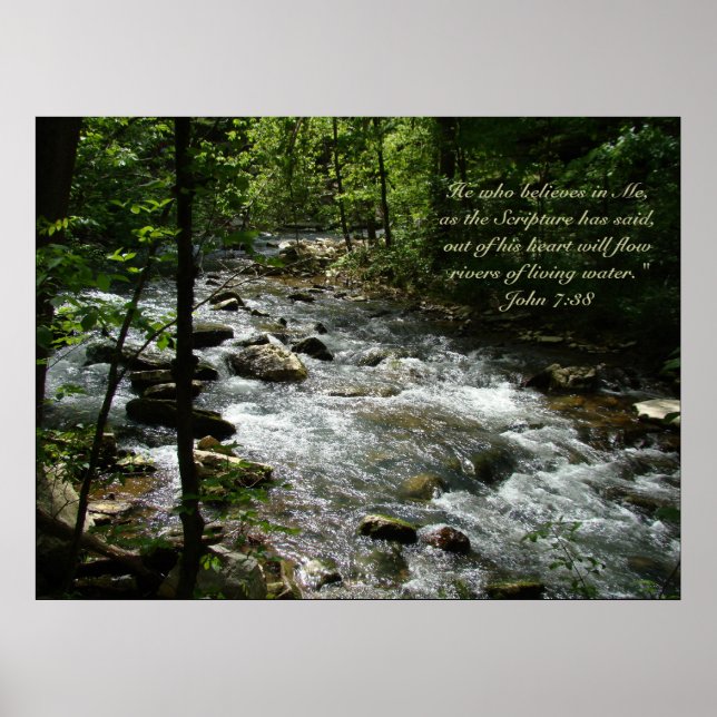 Póster Poster de Agua Viva II (Frente)