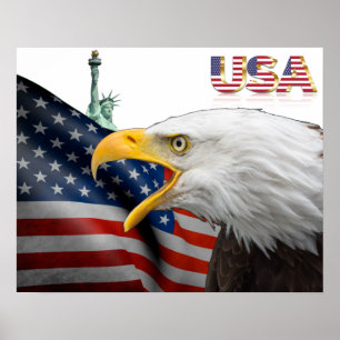 Póster Poster de águila calva de bandera de Estados Unido
