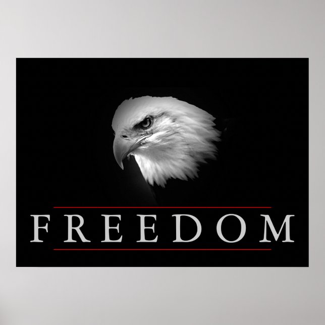 Póster Poster de águila intrépida de Black White Freedom (Frente)