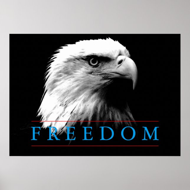 Póster Poster de águila norteamericana de Black White Fre (Frente)
