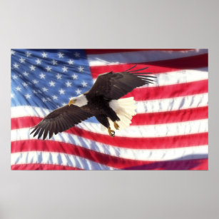 Póster Poster de Águila y Bandera de Estados Unidos