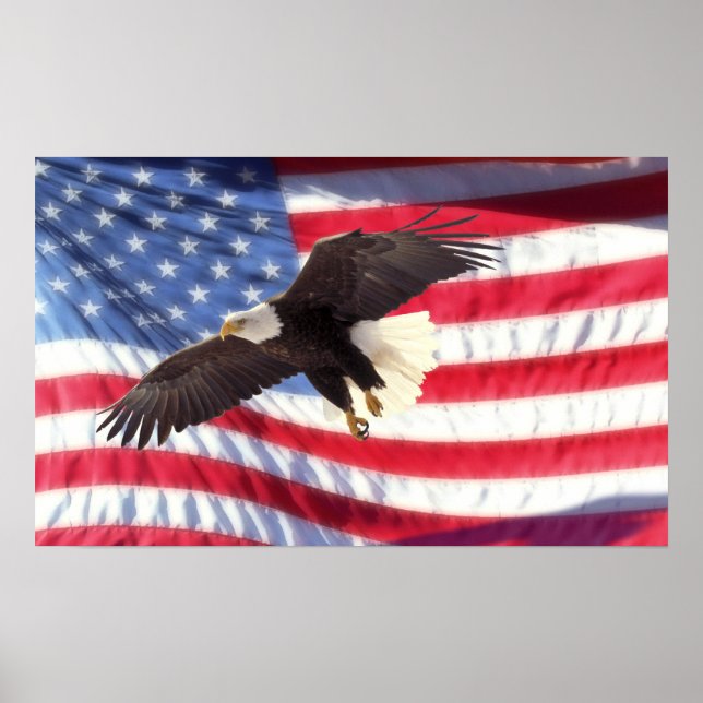 Póster Poster de Águila y Bandera de Estados Unidos (Frente)