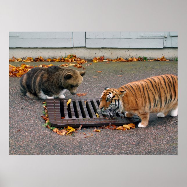 Póster Poster de agujeros urbanos (Frente)