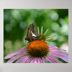 PÓSTER POSTER DE AJUSTE