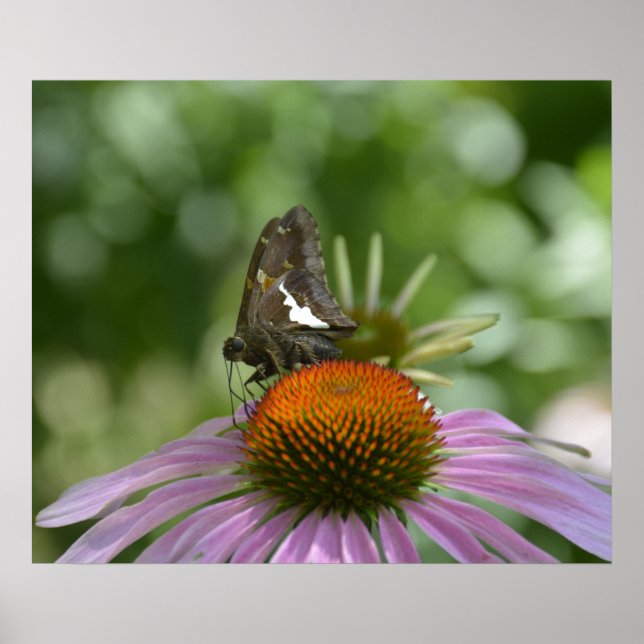 PÓSTER POSTER DE AJUSTE (Frente)