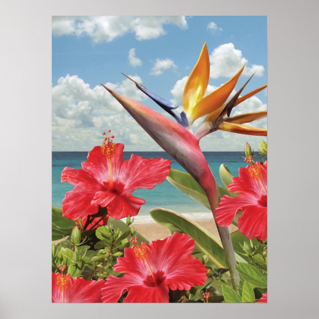 Póster Poster de Alan Giana "Hibiscus in Paradise" (Frente)