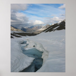 Póster Poster de Alaska