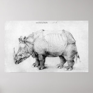 Póster Poster de Albrecht Durer Rhinoceros