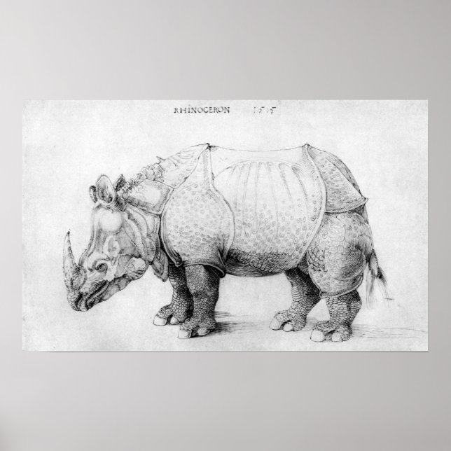 Póster Poster de Albrecht Durer Rhinoceros (Frente)