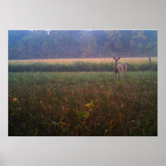 Póster Poster de Alert Doe