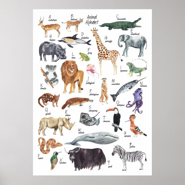 Póster Poster de alfabetos animales para niños (Frente)