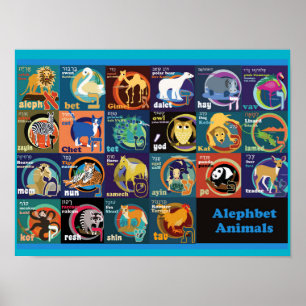Póster Poster de alfabetos hebreos