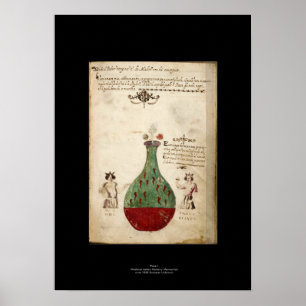 Póster Poster de Alquimia Medieval Italiana 1