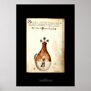 Póster Poster de Alquimia Medieval Italiana Plate 11
