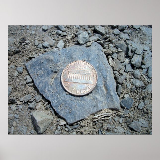 Póster poster de American Penny (Front) de 1980 (Frente)