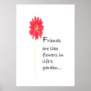 Póster Poster de amigos
