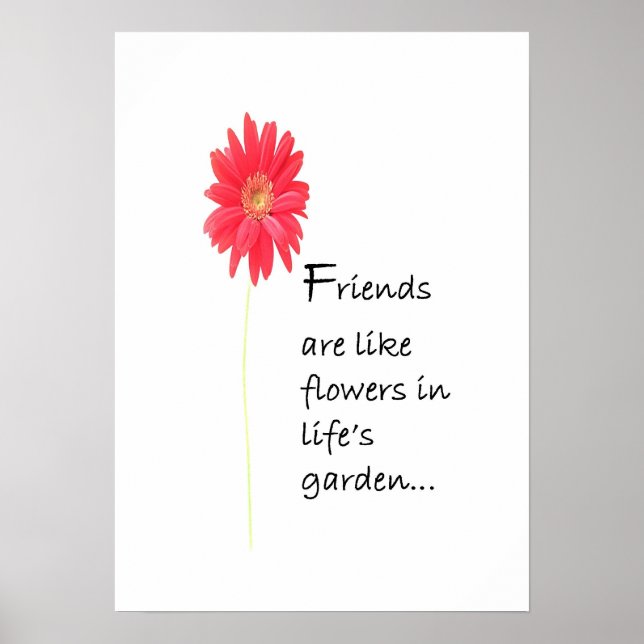 Póster Poster de amigos (Frente)