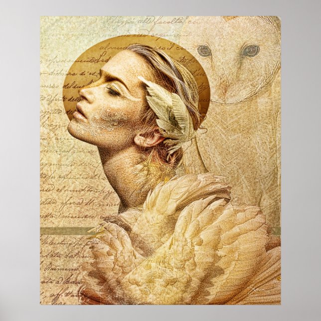 Póster poster de amigos de plumas (Frente)