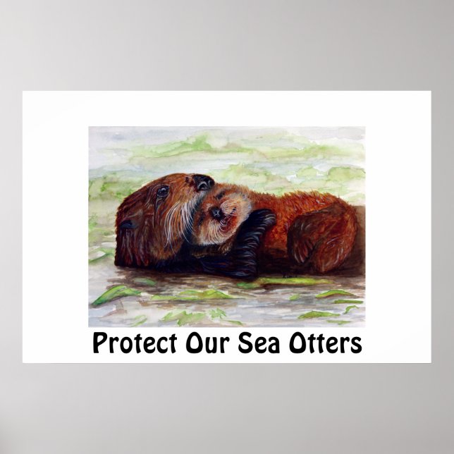 Póster Poster de Amigos del Otter Marítimo (Frente)