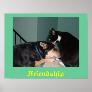 Póster poster de amistad de perros y gatos
