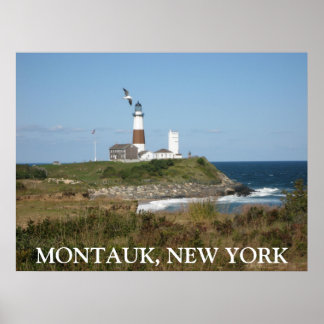 Póster POSTER de amor a la gaviota de MONTAUK