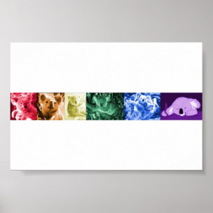 Póster Poster de amor de Koala